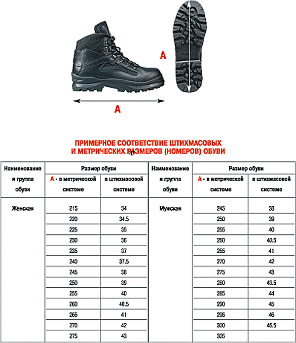 Как выбрать кроссовки, основные критерии, примерка, размеры, бренды