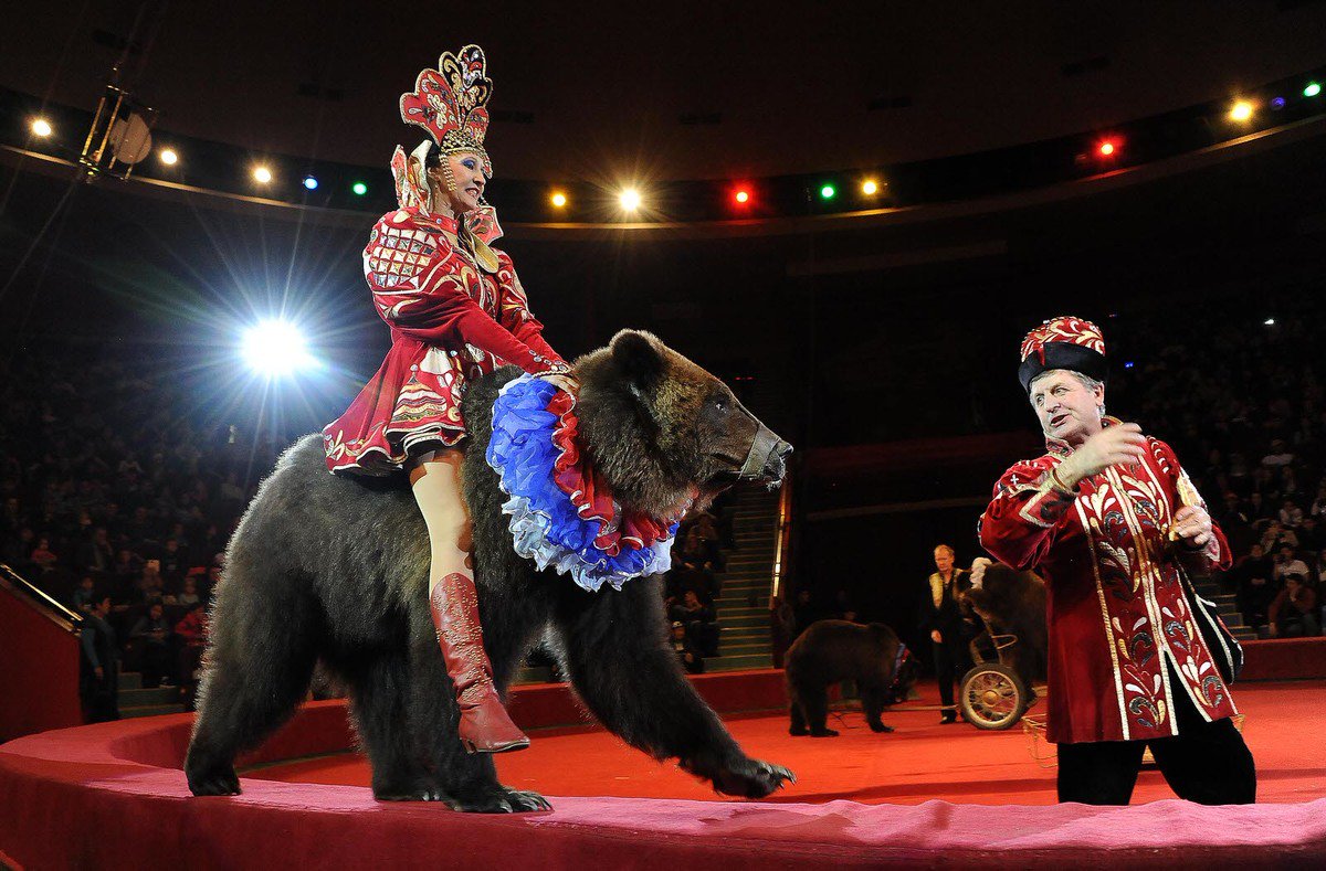 Старейший и самый большой. цирки в москве | 1vmoskve. интересное в москве. аттракционы-развлечения-культура