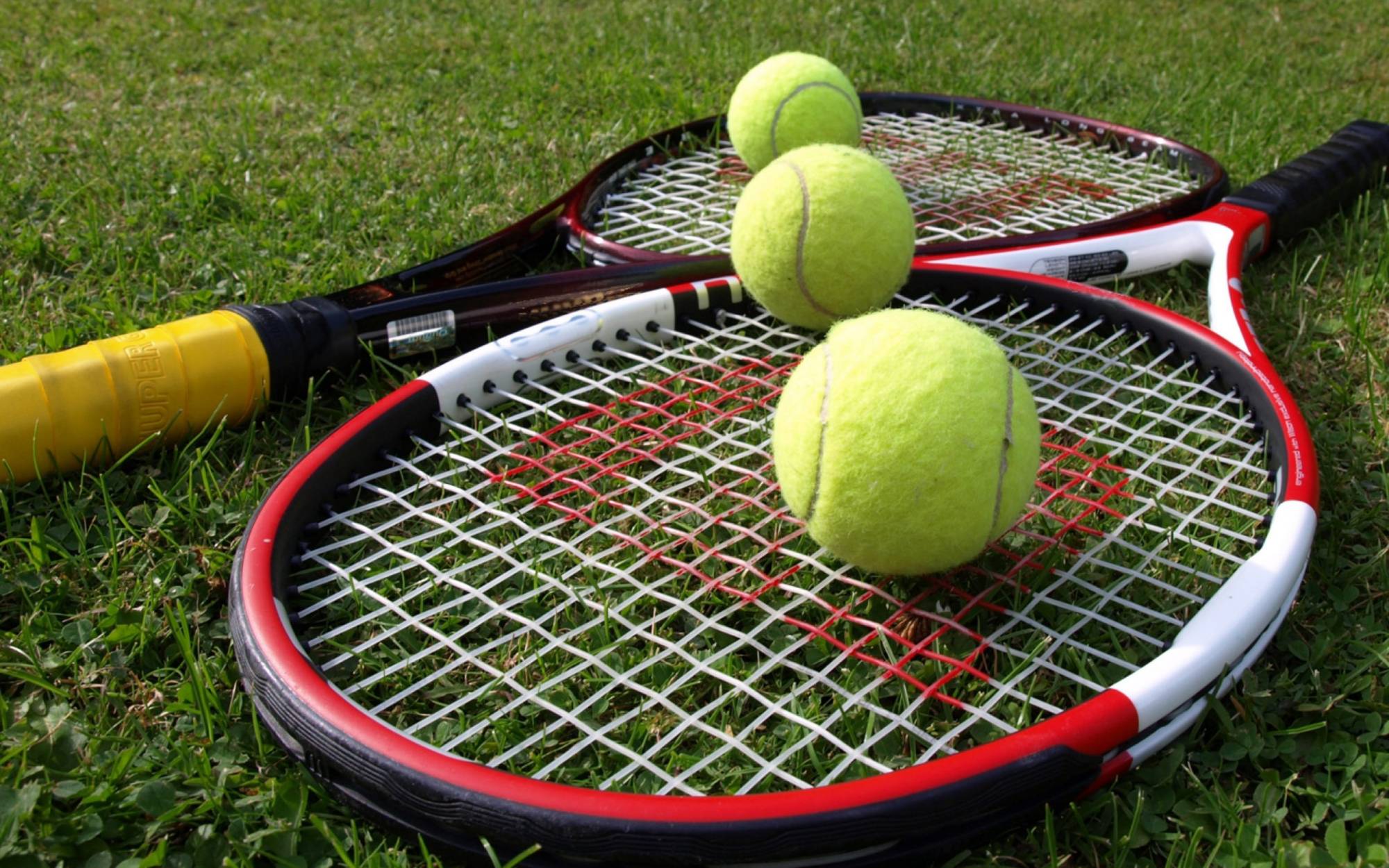 Теннис 1 ракетка. Теннис картинки. Теннисные шарики в сетке. Ставки на теннис. Теннис самый лучший спорт.