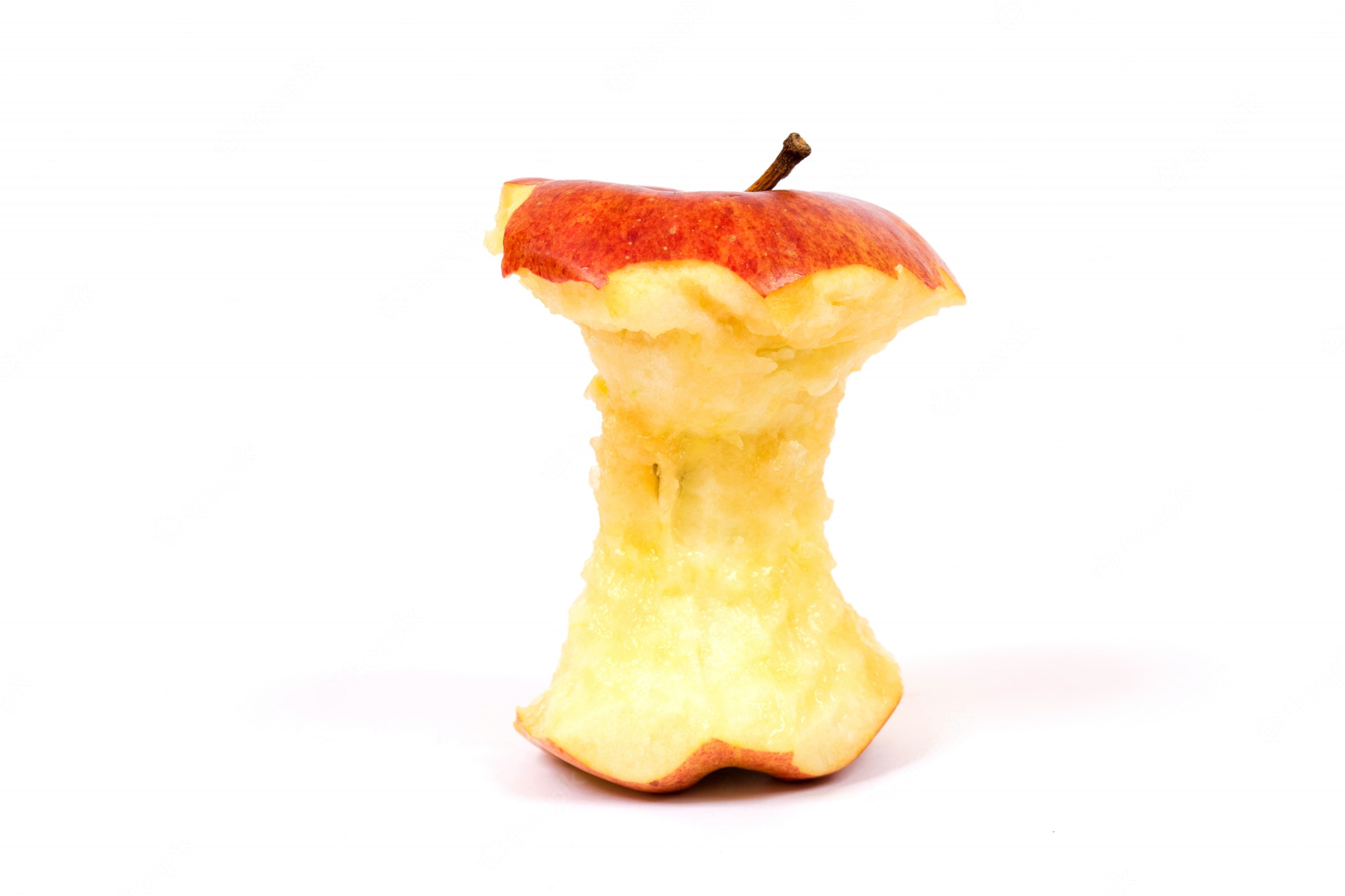 Огрызок яблока пищевые отходы