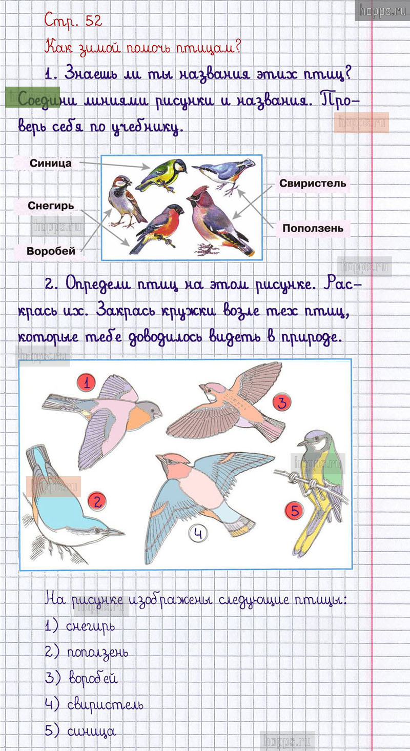 Ответы к странице 50-54 разнообразие животных. тетрадь окружающий мир плешаков 3 класс 1 часть - страница 21