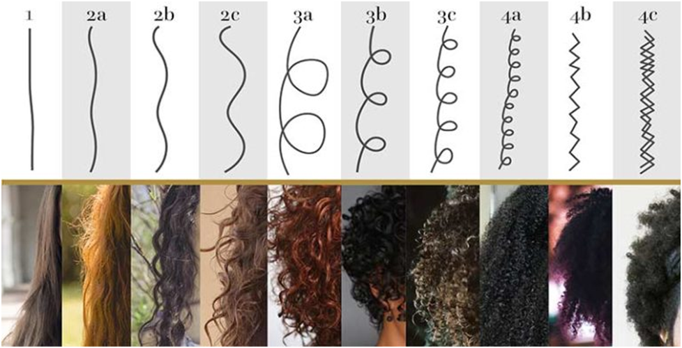 Генотип волнистых волос. Андре Уокер типы волос 2а. Типы завитка кудрявых волос вьющихся волос. Кудрявые, Тип завитка 2б-3а. Types of hair a1, a2.